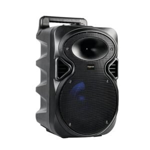 8" Bluetooth Speaker