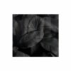 Decorative Glass Wall Tile 598MM X 650MM Feathers