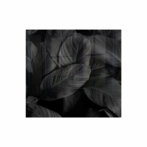 Decorative Glass Wall Tile 598MM X 650MM Feathers
