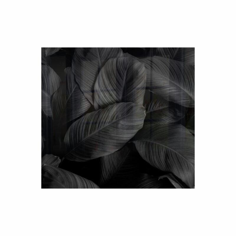 Decorative Glass Wall Tile 598MM X 650MM Feathers
