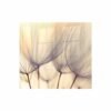Decorative Glass Wall Tile (598 X 650 X 6mm) Dandelion Floret