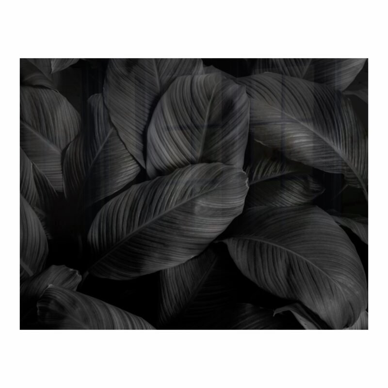 Decorative Glass Wall Tile (898 X 700 X 6mm) Feathers