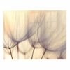 Decorative Glass Wall Tile (898 X 700 X 6mm) Dandelion Floret