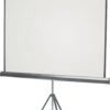 Projector Tripod Screen 1830*1830mm (View: 1780*1780mm - Ratio: 1:1)