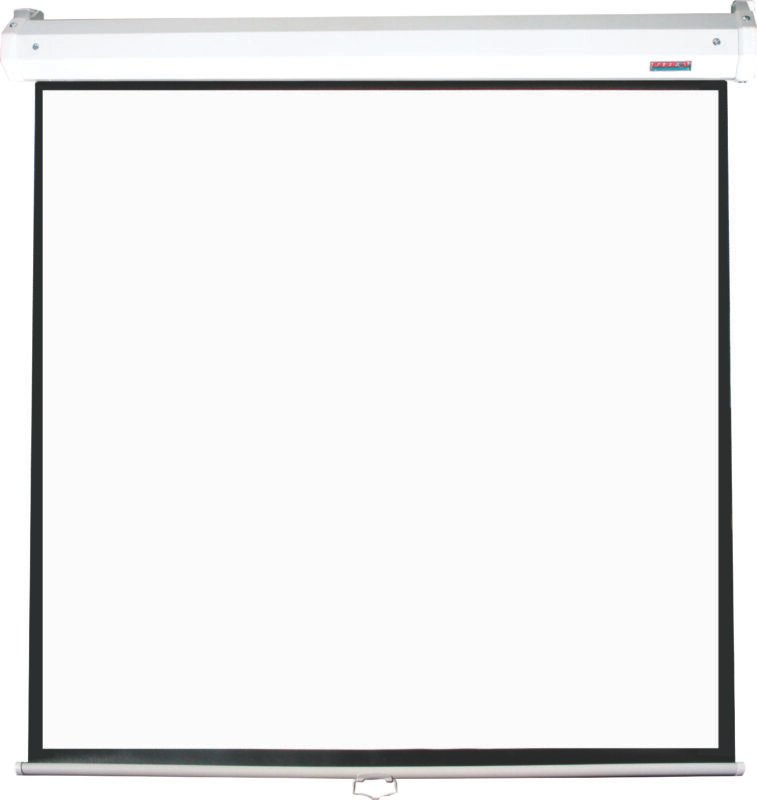 Parrot Pulldown Screen 1830*1830mm (View: 1780*1780mm - 1:1)
