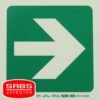 Photoluminescent 190MM Safety Sign - E21-Arrow Right