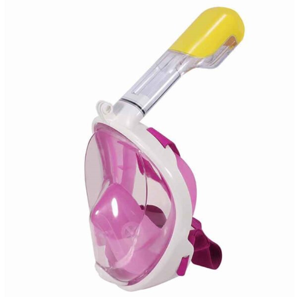 Dry Dive Snorkel - Full Mask