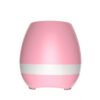 Polaroid Flowerpot Induction Speaker