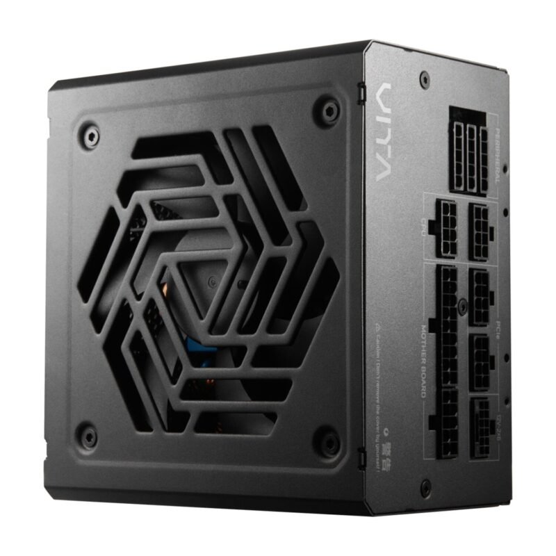 FSP VITA GM 1000W Gold Power Supply - ATX 3.1, PCIe 5.1, 80 Plus Gold