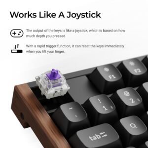 Keychron K10 HE 100% Wireless Magnetic Gaming Keyboard Nebula Switches – Black - Image 4