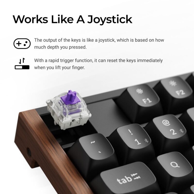 Keychron K10 HE 100% Wireless Magnetic Gaming Keyboard Nebula Switches – Black