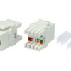 Linkbasic Cat5e UTP Keystone Jack