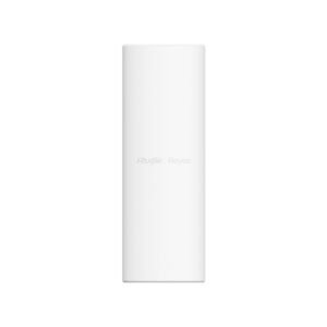 Reyee Dual Band WiFi 6 3000Mbps Gigabit Outdoor AP